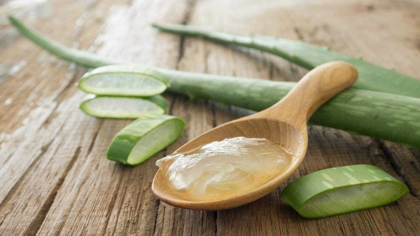 Das Gel der Aloe-Pflanze war schon damals beliebt